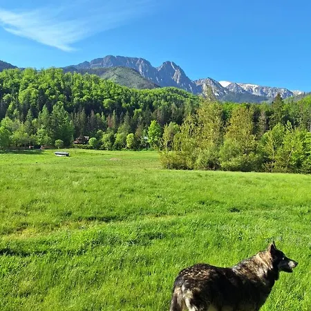 Apartman Osa Bogdanskiego 4 Zakopane